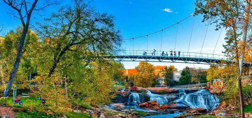 فندق Comfort Suites Greenville Airport