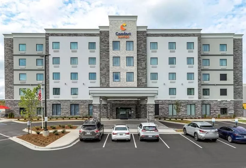 ホテル Comfort Suites Greenville Airport