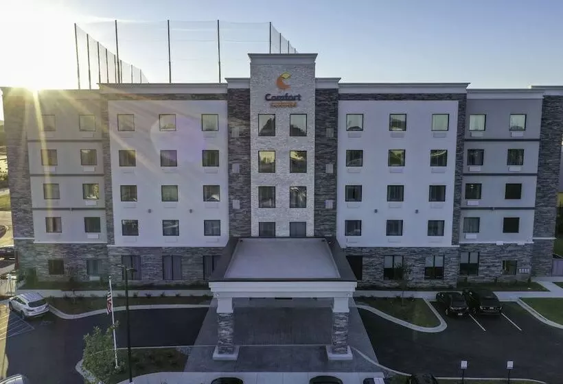 ホテル Comfort Suites Greenville Airport