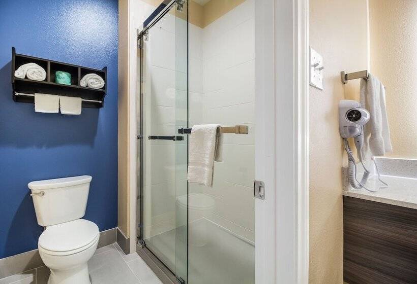 בית מלון כפרי Scottish Inn & Suites Houston Willowbrook