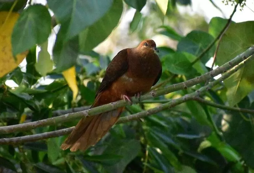 Hotelli Starry Nights Luxury Camping