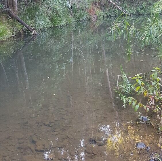 ホテル Starry Nights Luxury Camping