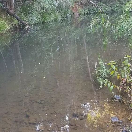 Hotelli Starry Nights Luxury Camping