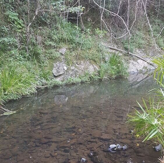 ホテル Starry Nights Luxury Camping