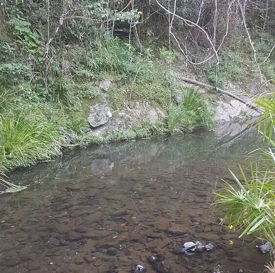 Hotelli Starry Nights Luxury Camping