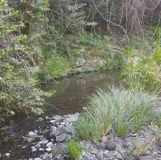 Hotelli Starry Nights Luxury Camping