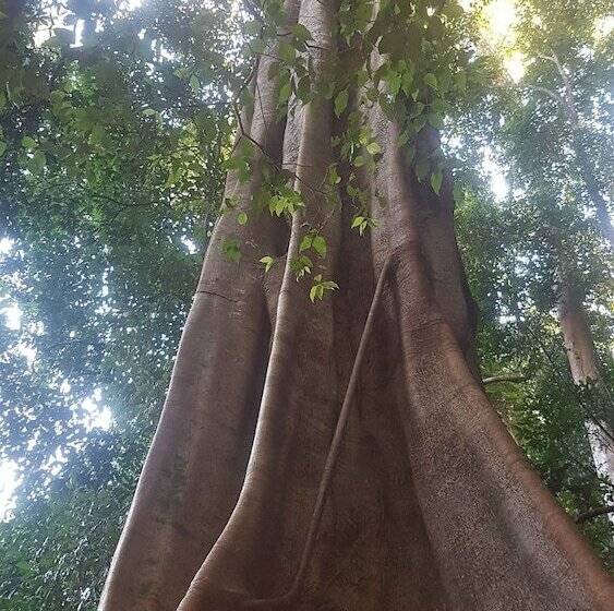 ホテル Starry Nights Luxury Camping