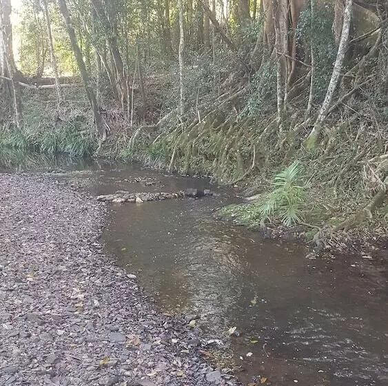 Hotelli Starry Nights Luxury Camping