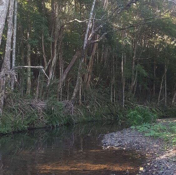 ホテル Starry Nights Luxury Camping