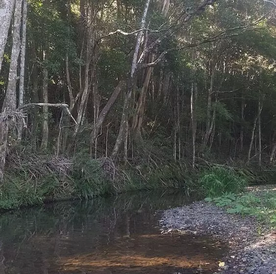 Hotelli Starry Nights Luxury Camping