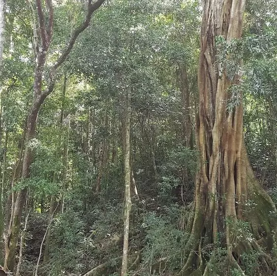 Hotelli Starry Nights Luxury Camping