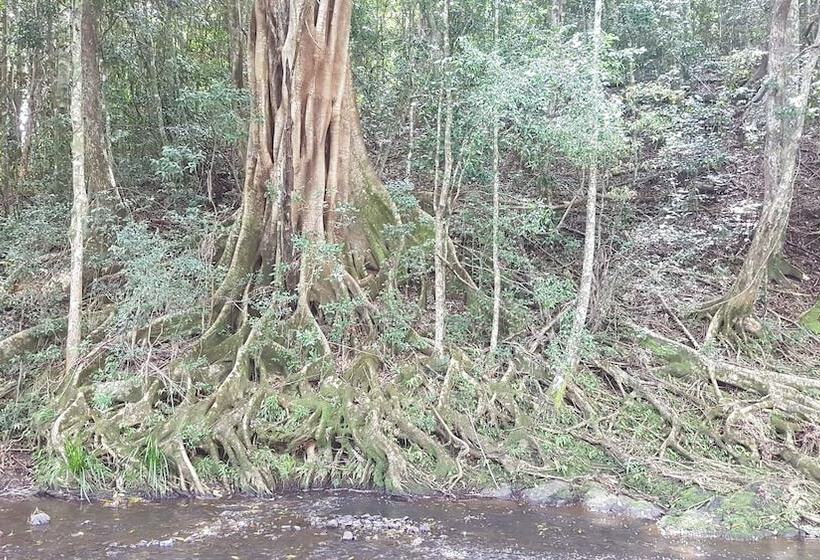 ホテル Starry Nights Luxury Camping