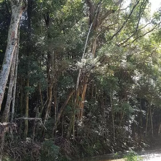 Hotelli Starry Nights Luxury Camping