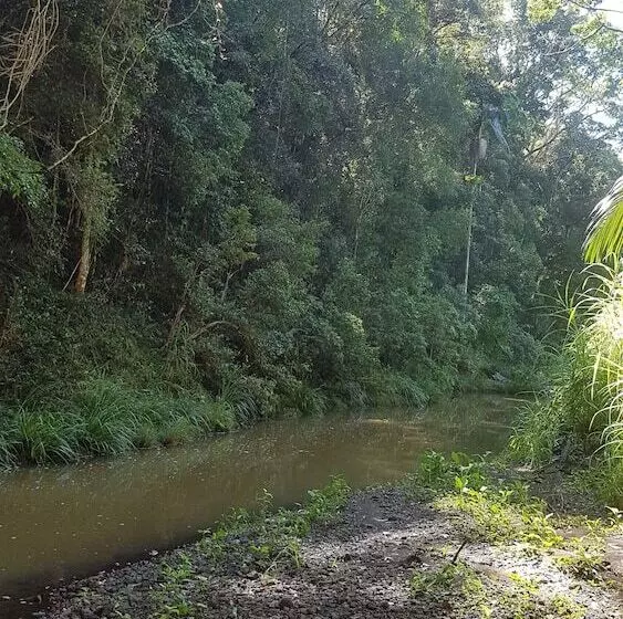 Hotelli Starry Nights Luxury Camping