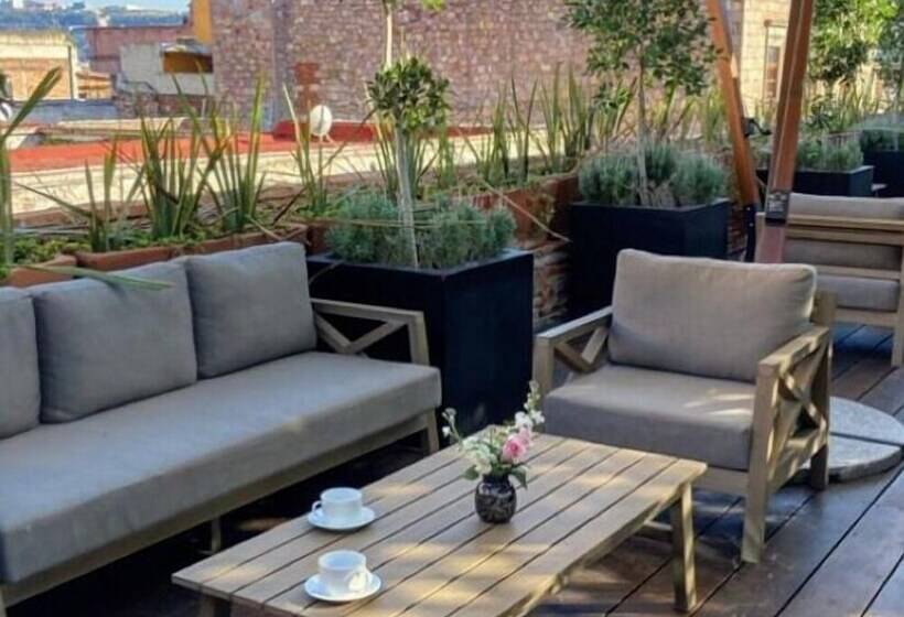 Отель Boutique Rayón 50