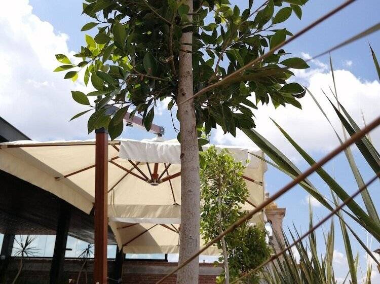 Отель Boutique Rayón 50