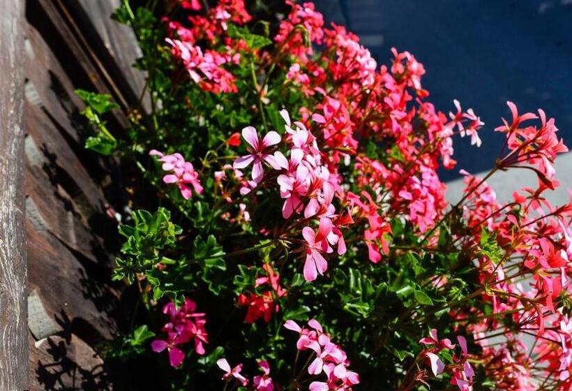 Общежитие De Moiry Supérieur