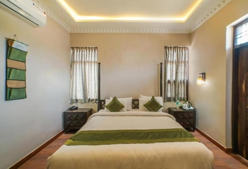 Bed and Breakfast R 41  A Boutique