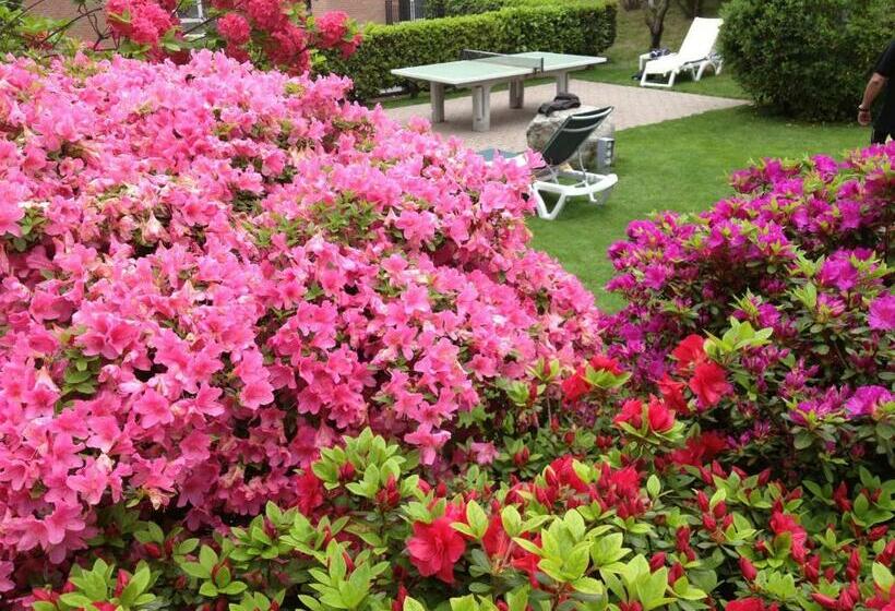 Отель Easyrooms Ai Monti