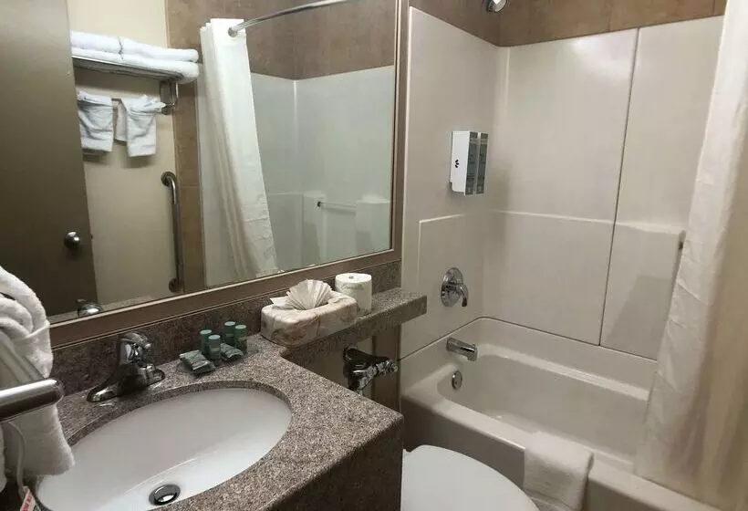 호텔 Best Western Jamaica Inn