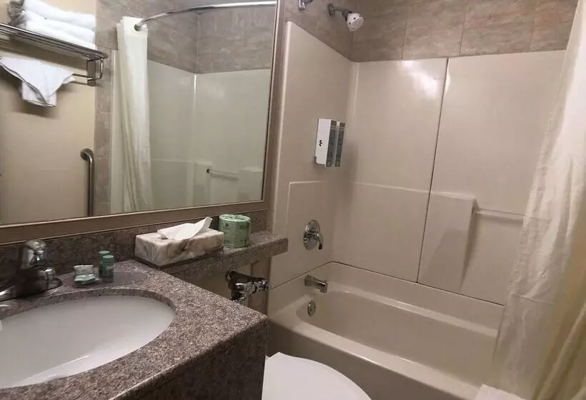 호텔 Best Western Jamaica Inn