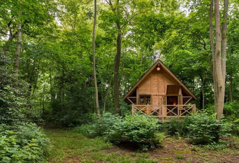 فندق Château De Saint Paterne