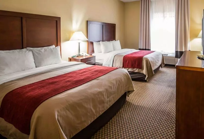 ホテル Comfort Inn & Suites
