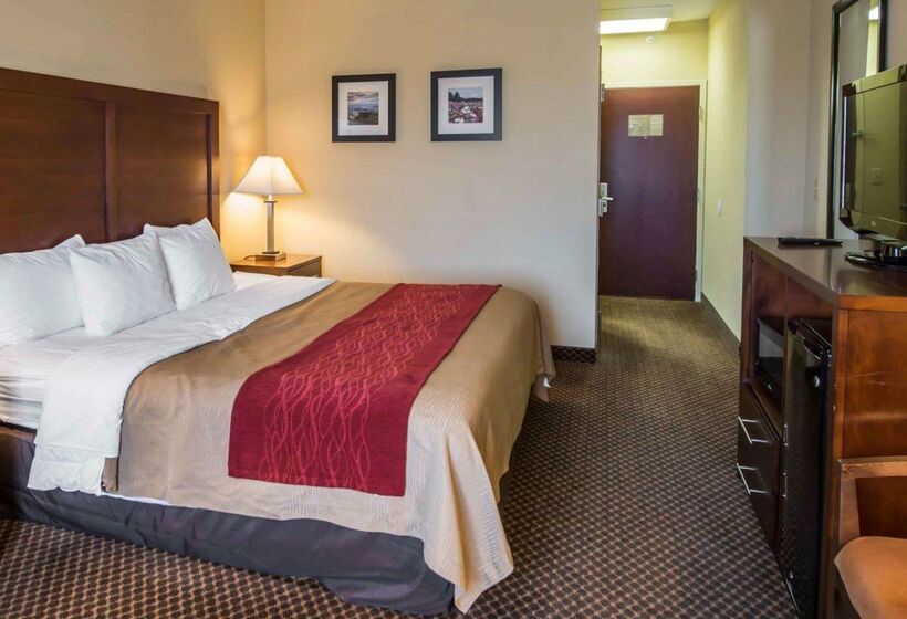 فندق Comfort Inn & Suites