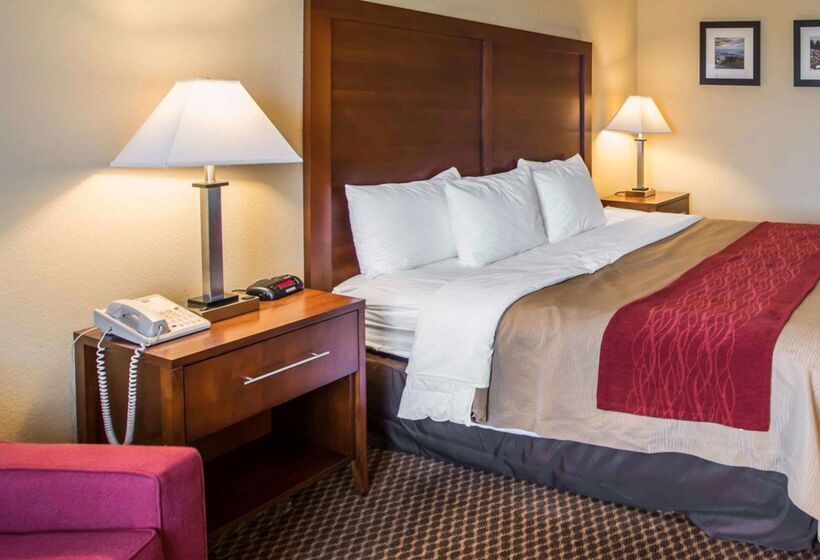 فندق Comfort Inn & Suites