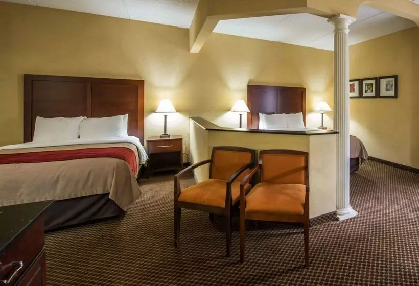 ホテル Comfort Inn & Suites