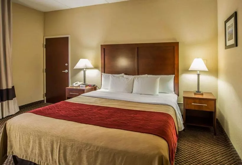 ホテル Comfort Inn & Suites