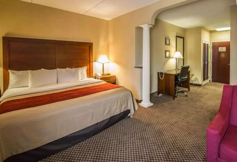 ホテル Comfort Inn & Suites