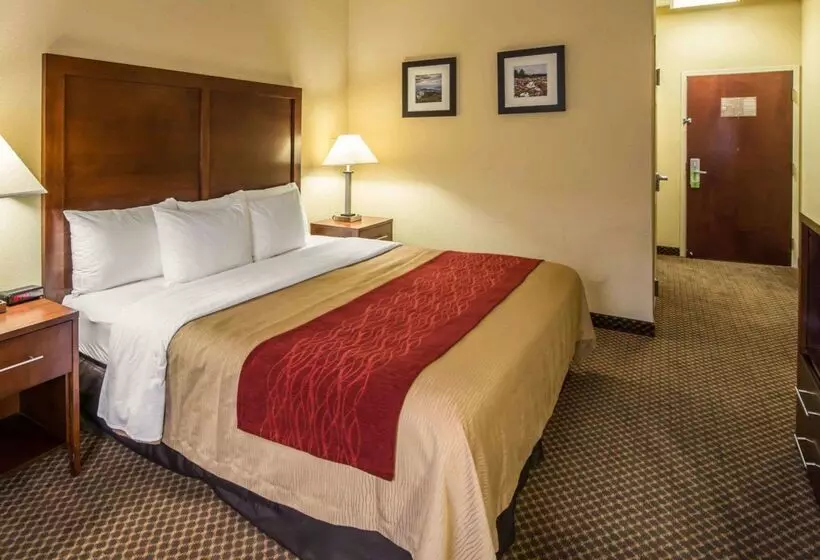 ホテル Comfort Inn & Suites