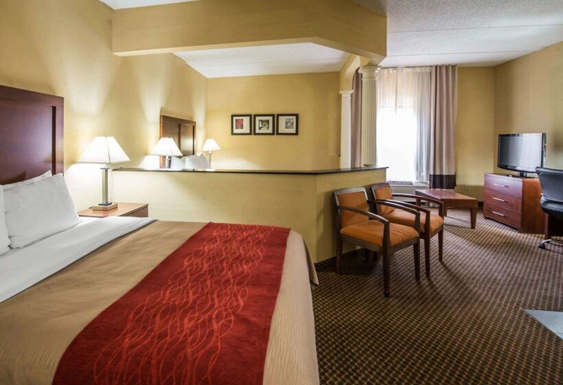 فندق Comfort Inn & Suites