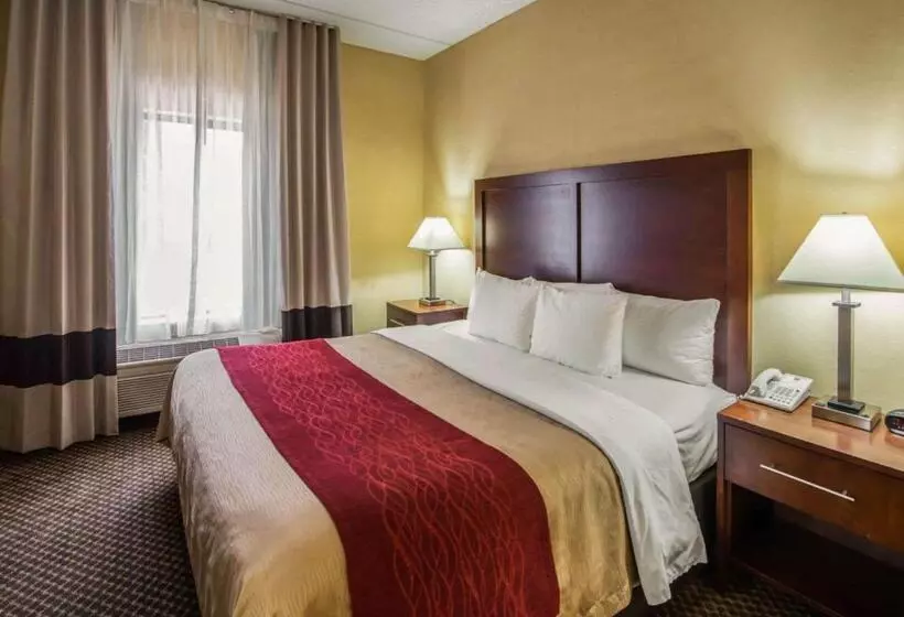 ホテル Comfort Inn & Suites