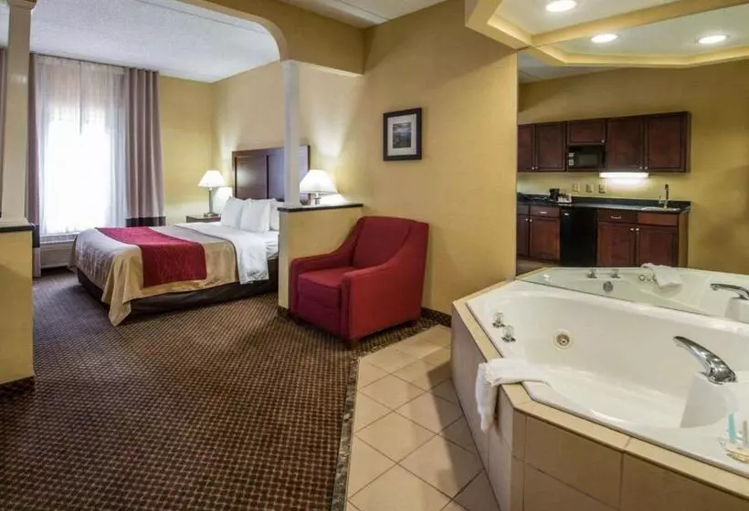 ホテル Comfort Inn & Suites