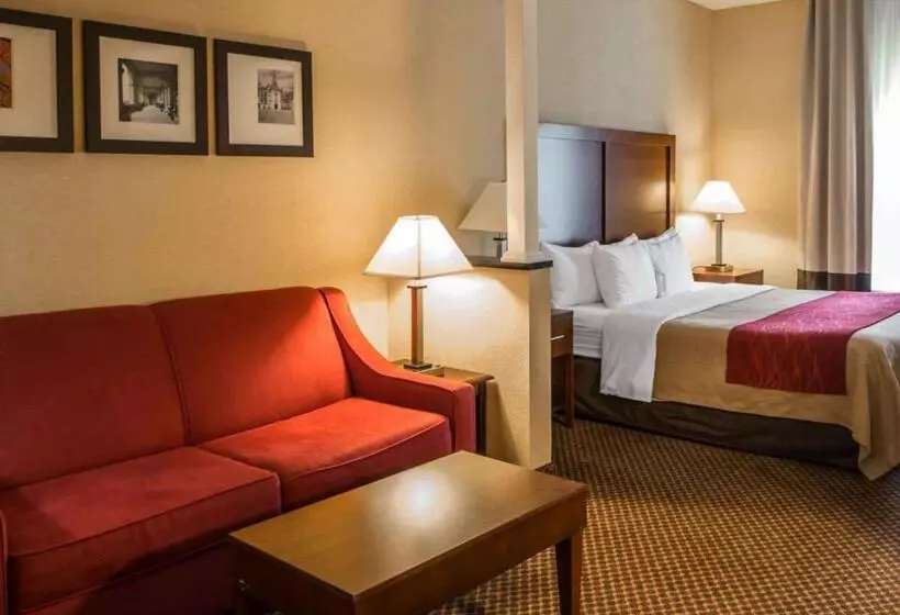 ホテル Comfort Inn & Suites