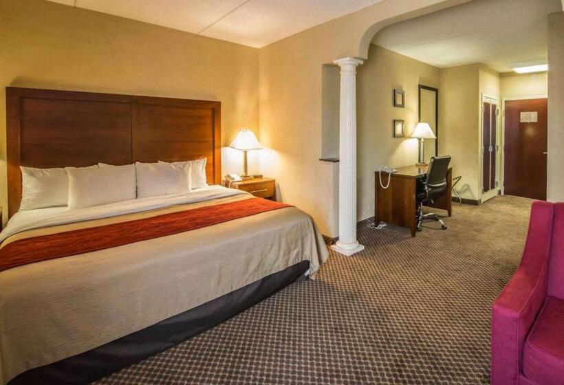 فندق Comfort Inn & Suites