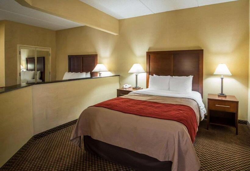 فندق Comfort Inn & Suites