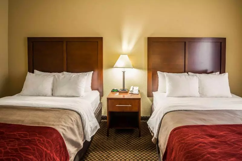 ホテル Comfort Inn & Suites