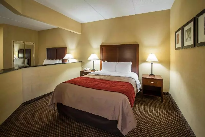 ホテル Comfort Inn & Suites