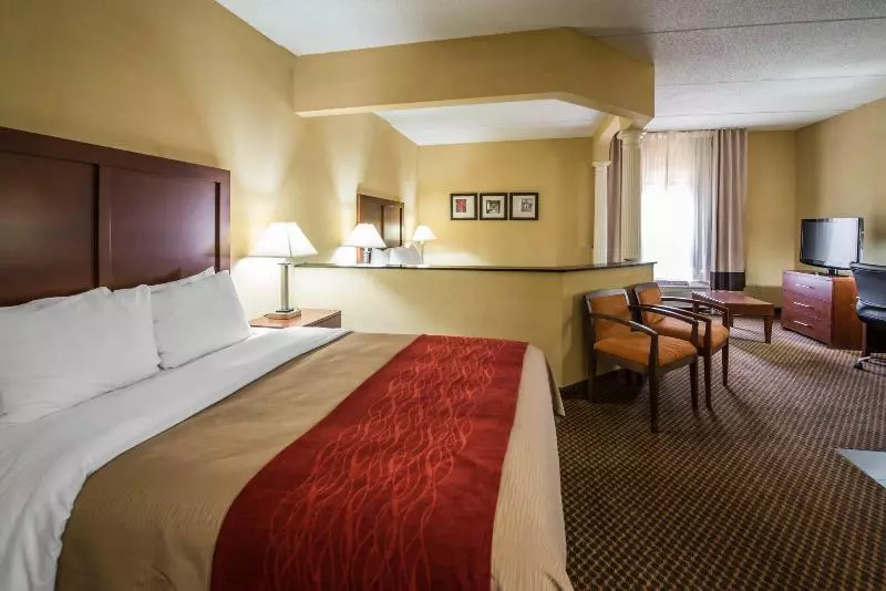 ホテル Comfort Inn & Suites