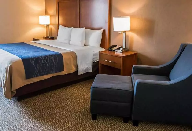 Отель Comfort Inn Crystal Lake   Algonquin