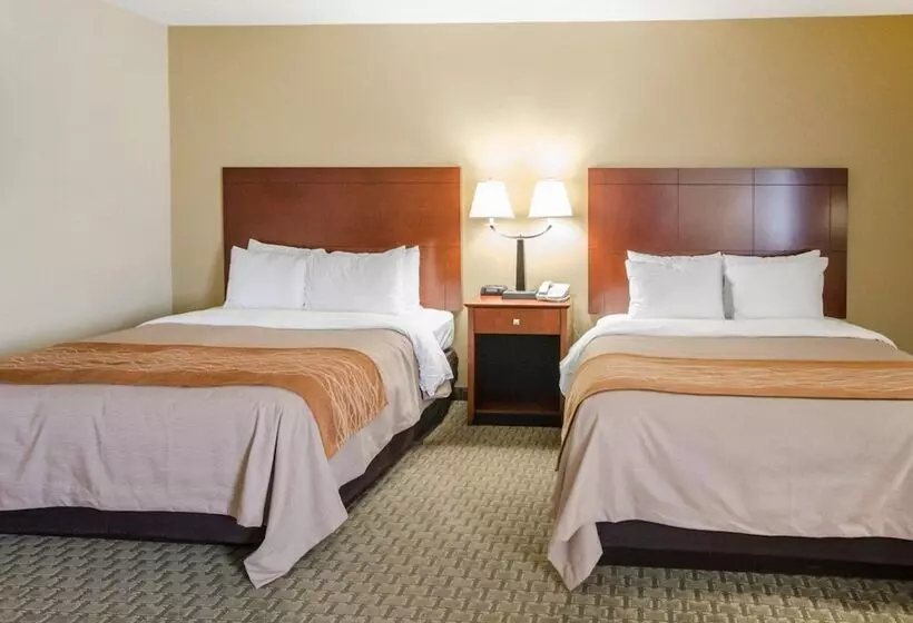 Hotel Comfort Inn