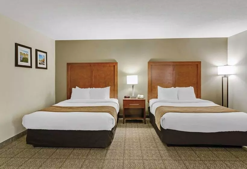 Hotel Comfort Inn