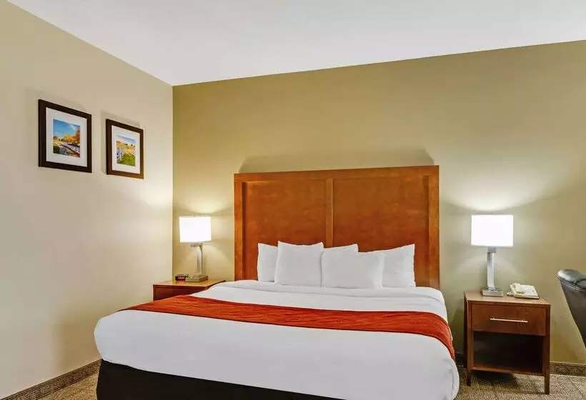 Hotel Comfort Inn