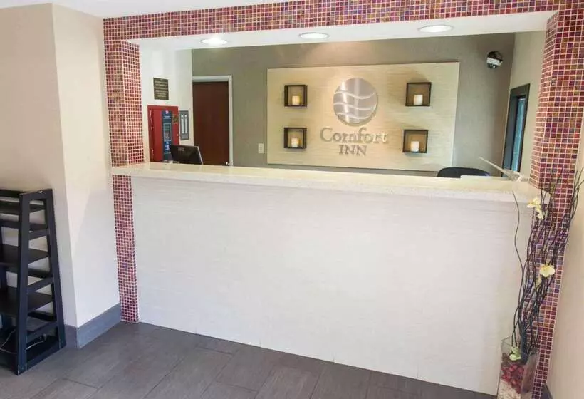 酒店 Comfort Inn