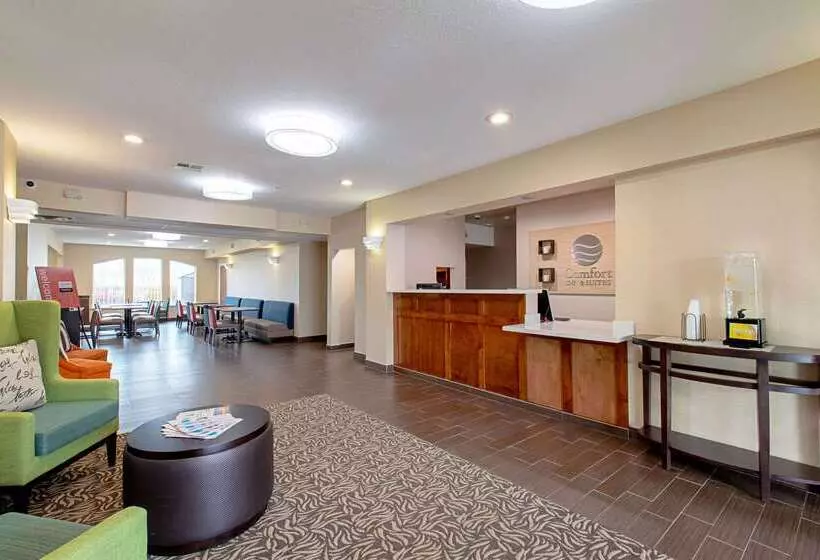 ホテル Comfort Inn & Suites And Suites Fredericksburg
