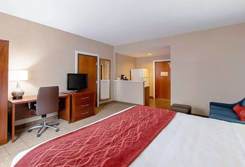 ホテル Comfort Inn & Suites And Suites Fredericksburg
