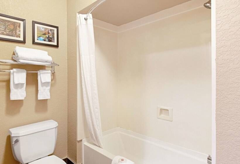 ホテル Comfort Inn & Suites And Suites Fredericksburg